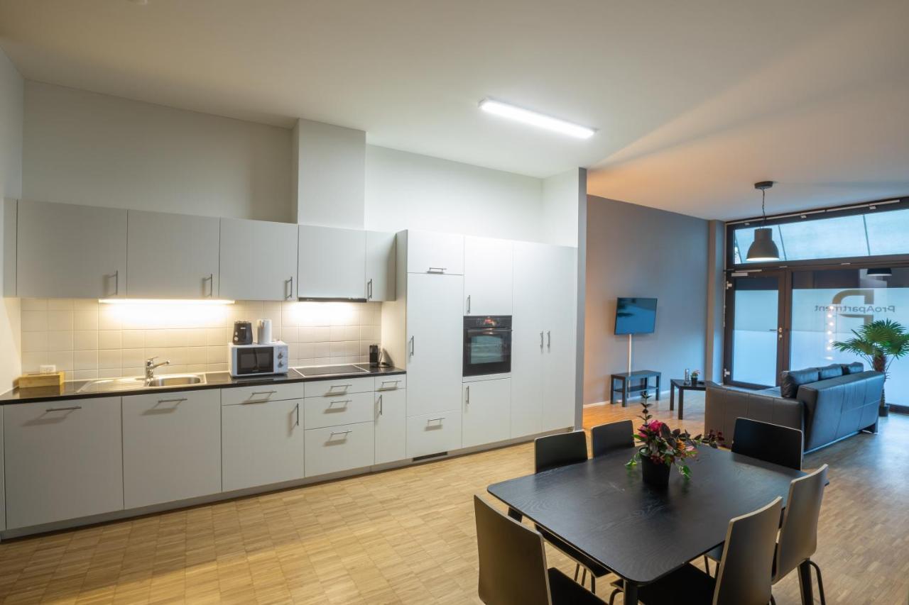 Proapartment Базель Экстерьер фото